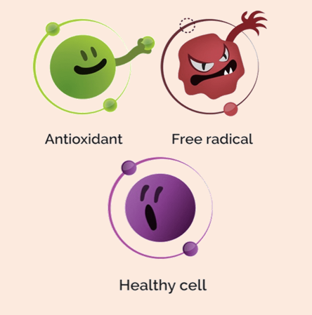 Anti-aging