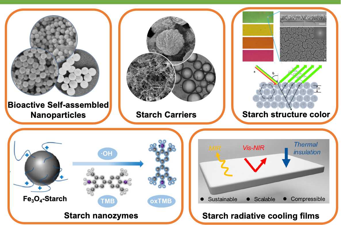 Bio-functional Materials