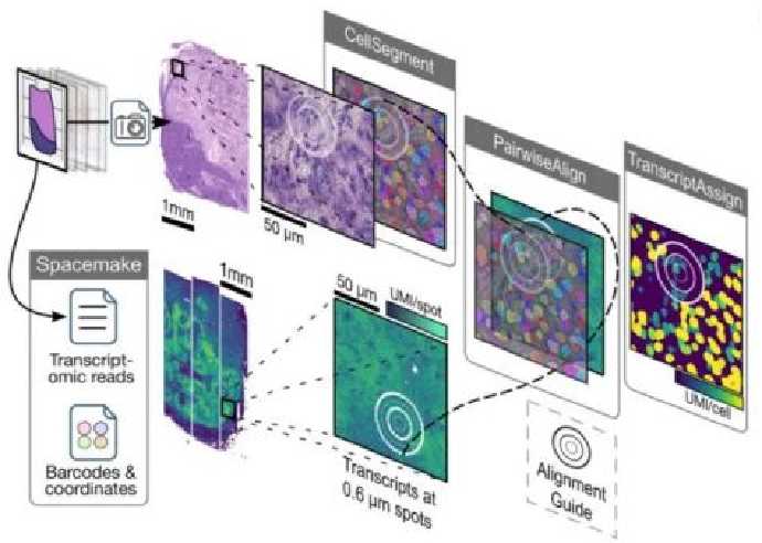 multi-omics techniques