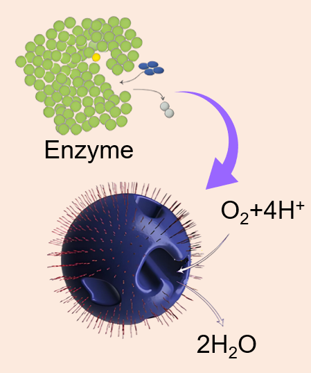 Nanozyme