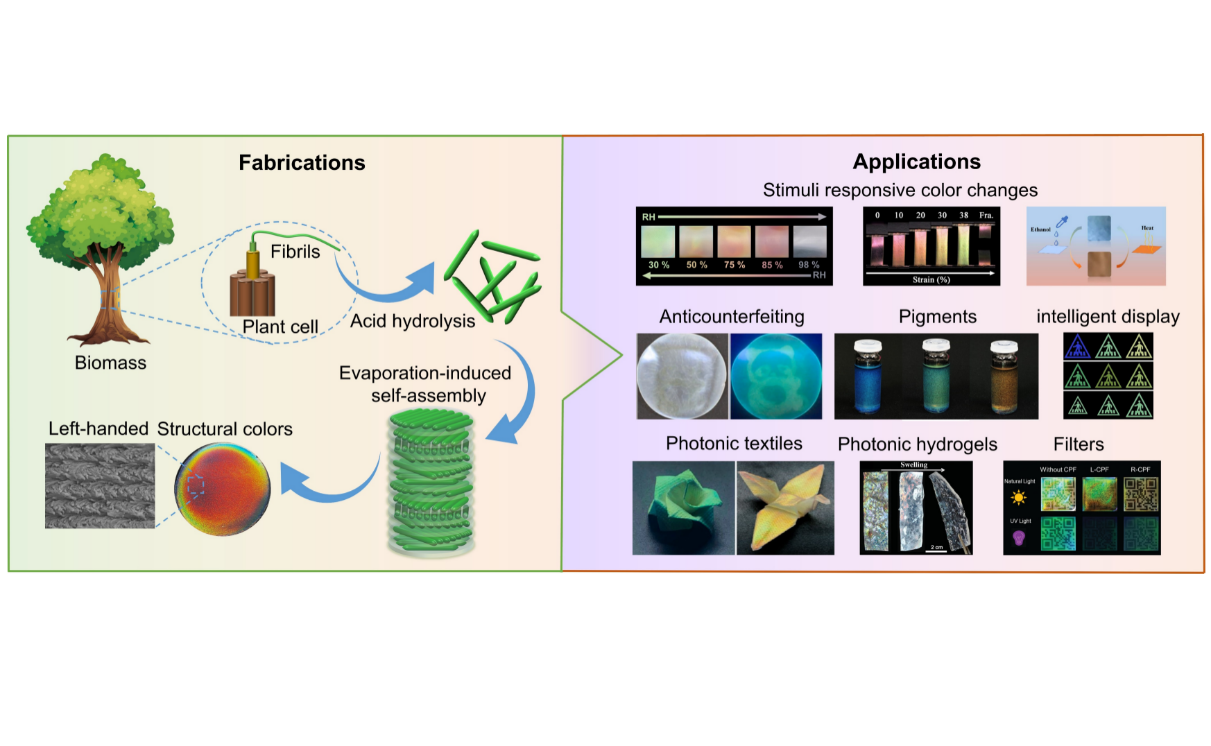 structural color materials